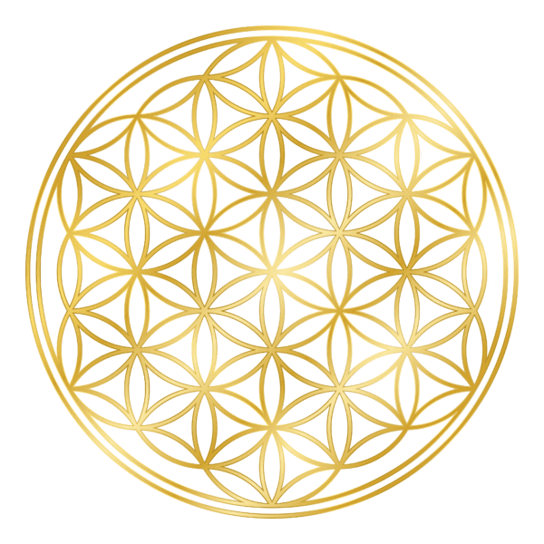Flower of life